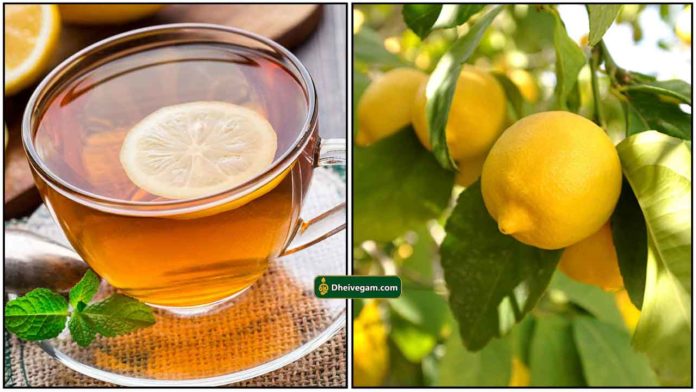 lemon-tea3