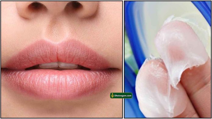 lip-vaseline