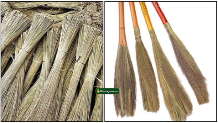 thudaippam-broom