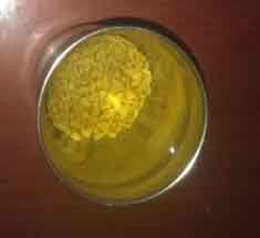vendhayam
