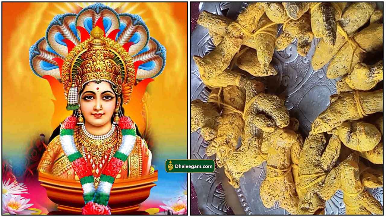amman-virali-manjal