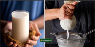 coconut-milk1