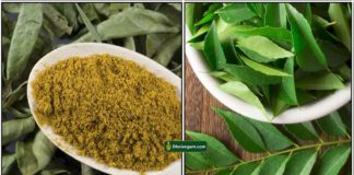 curry-leaves-powder1