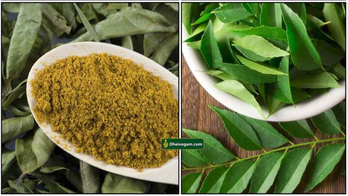 curry-leaves-powder1