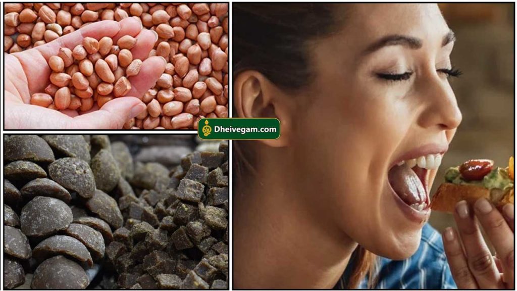 காலையில் எழுந்ததும் சாப்பிட வேண்டிய ஆரோக்கியமான முதல் உணவு எது