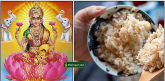 lakshmi-rice