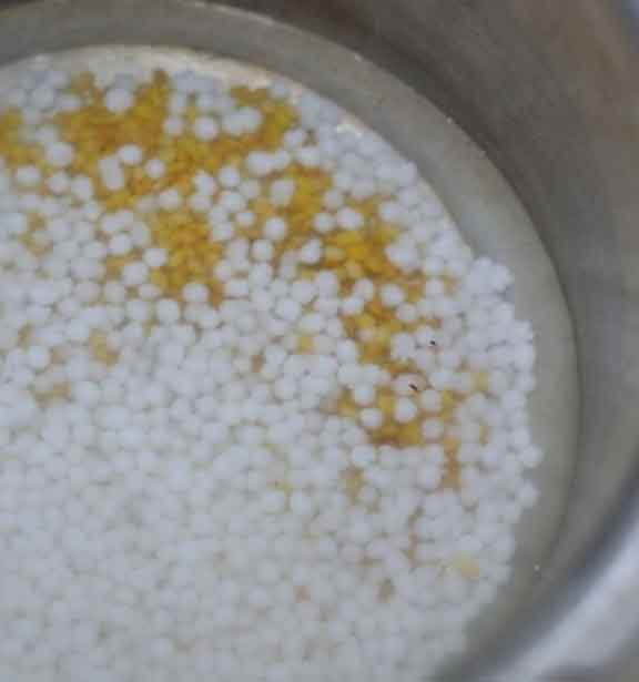 payasam5