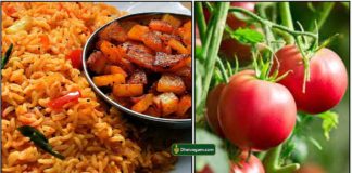 cooker-tomato-rice1