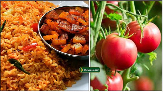 cooker-tomato-rice1