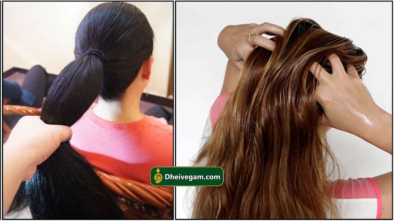 Techn Natural Hair Restore Biotin Hair Growth Oil Hair Oil - Price in  India, Buy Techn Natural Hair Restore Biotin Hair Growth Oil Hair Oil  Online In India, Reviews, Ratings & Features |