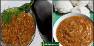 brinjal-chutney