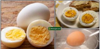 boiled-egg