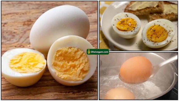 boiled-egg