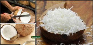 coconut-thuruval