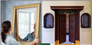 mirror-door-vasal