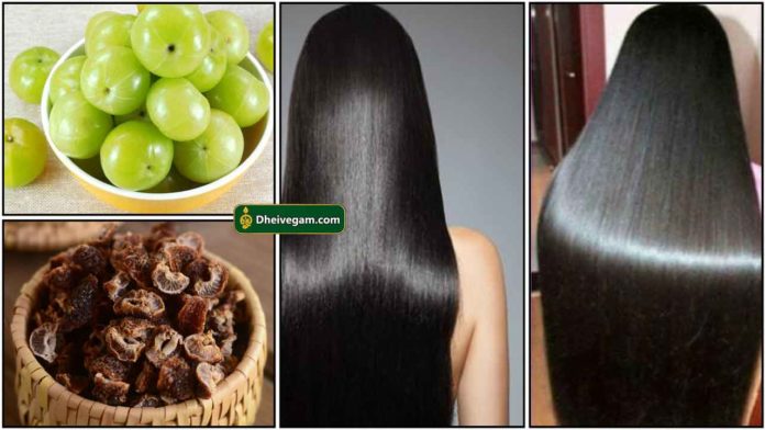 nellikkai-hair
