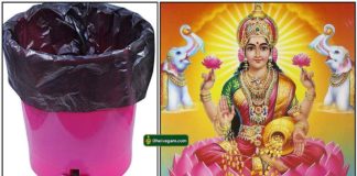 dustbin-lakshmi