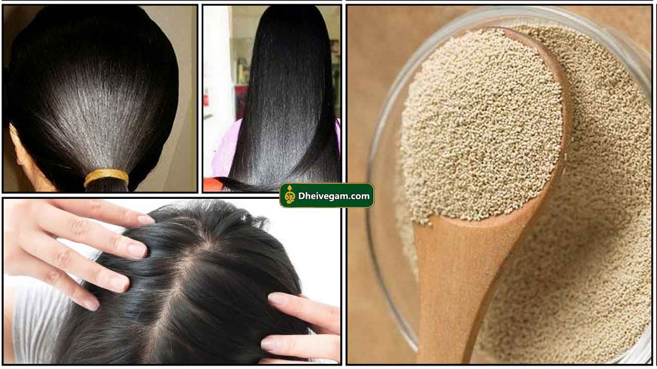 தலைமுடி அடர்த்தியாக வளர | How to use yeast for hair growth