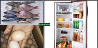 fish-egg-fridge