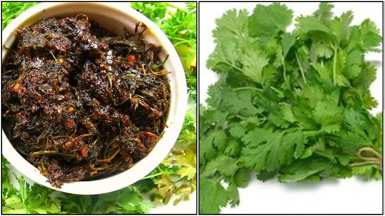 kothamalli1