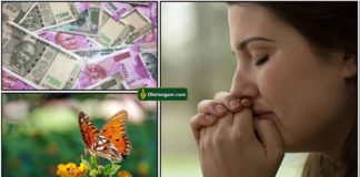 butterfly-pray-cash