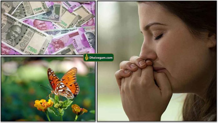 butterfly-pray-cash