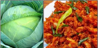 cabbage