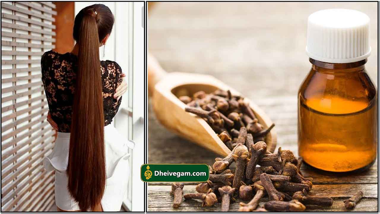clove water for hair growth Archives - Dheivegam