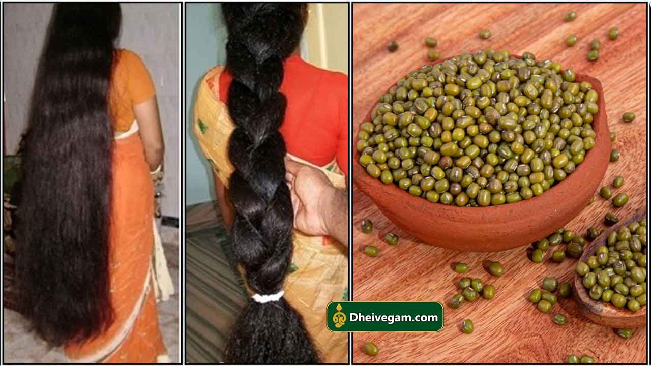 அடர்த்தியான தலைமுடிக்கு என்ன உணவு எடுத்துக் கொள்ளலாம் What are the foods  for hair growth in tamil » Wisdom Belive