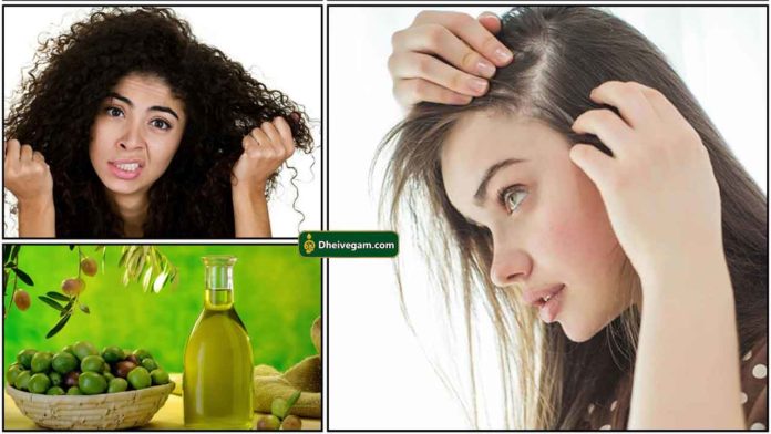 hair-fall-olive-oil