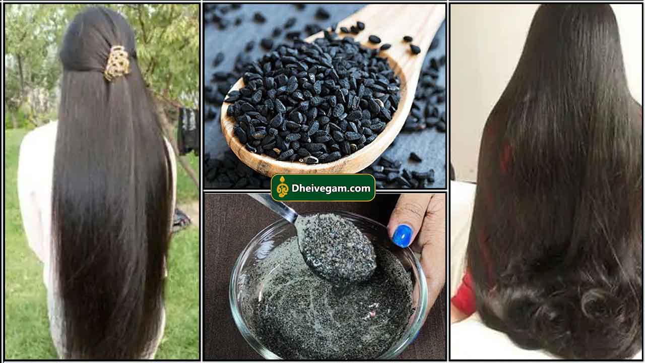 Buy Black Seed Oil For Hair Growth | Karunjeeragam For Hair