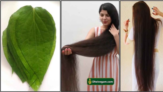 hair10