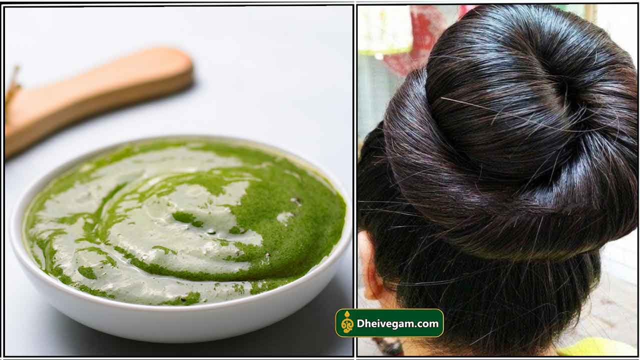5 ways how curry leaves promote hair growth and prevent greying  Times of  India