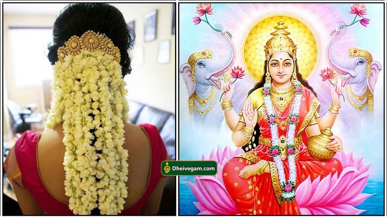 pengal-flower-lakshmi