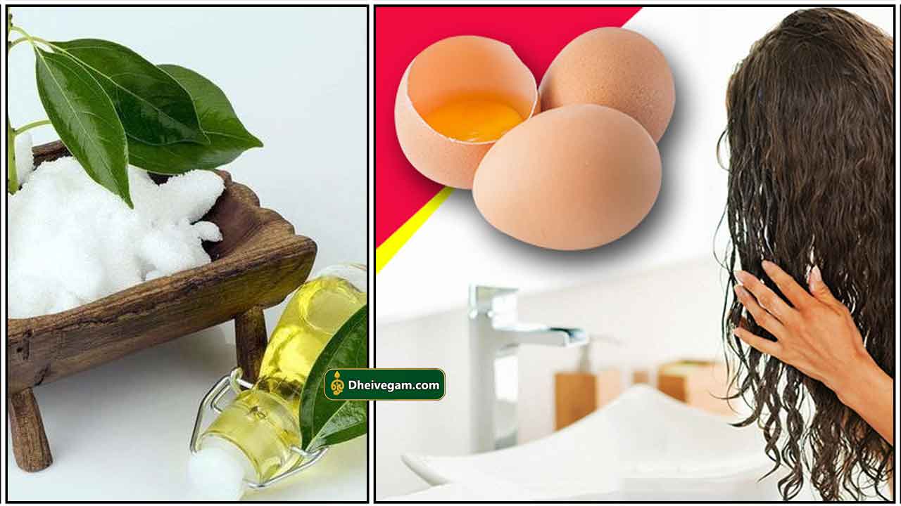 camphor-oil-egg-hair-mask