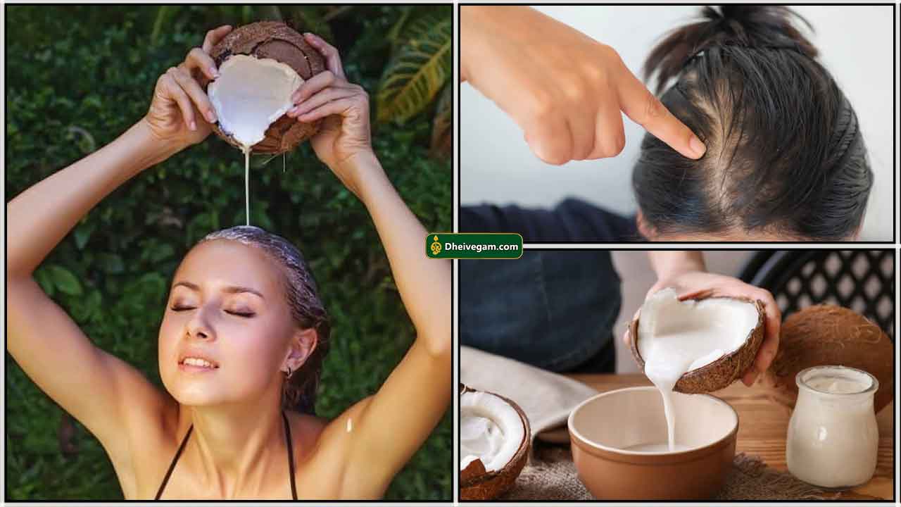 coconut milk for hair benefits Archives - Dheivegam