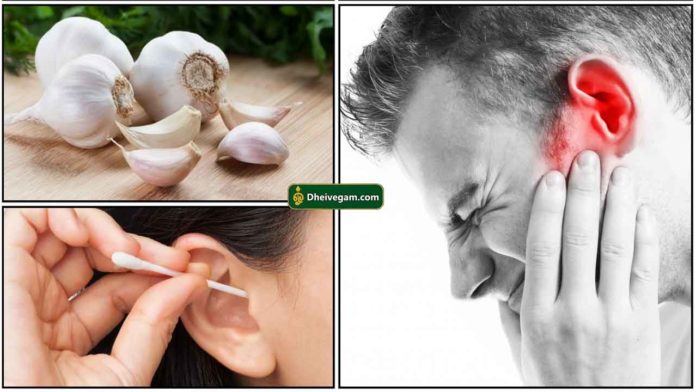 ear-pain-buds-garlic