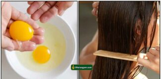 egg-hair-pack