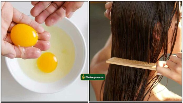egg-hair-pack