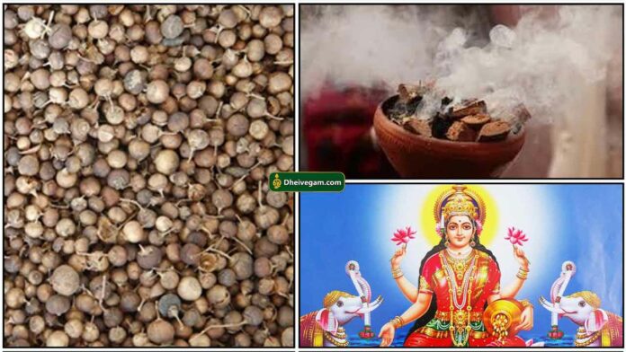 maruthani-seed-lakshmi-sambrani