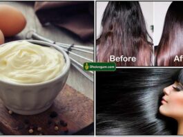 mayonnaise for hair benefits Archives - Dheivegam