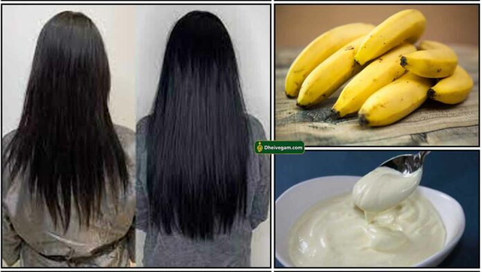 hair-banana-mayonaise