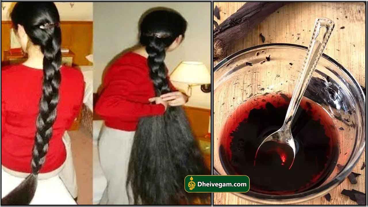 சரமம இலலமல மடய சககரம வளரதத வடலம இநத சவபப எணணய  வரம ஒர மற தலயல தடவனல பதம  Vembalam Pattai Hair Oil in Tamil