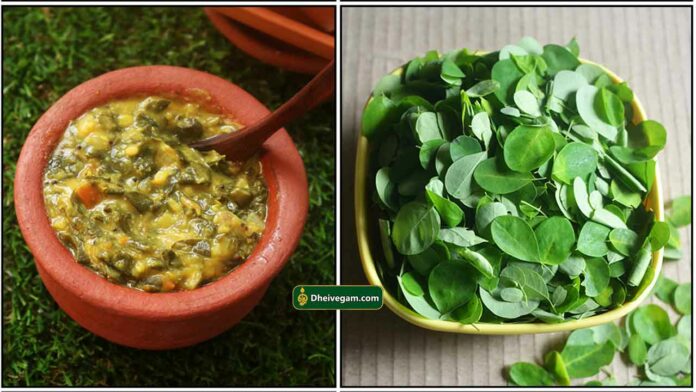 murungai-keerai-kadayal