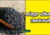 sabja seed benefits Tamil