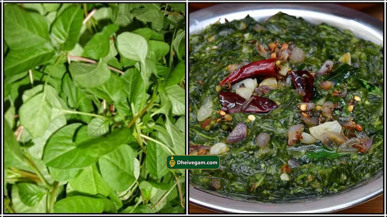 கிராமத்து ஸ்டைலில் அரைக்கீரை கடையல் 5 நிமிஷத்தில் எப்படி செய்வது? கீரையை கடைந்தால் இப்படித்தான் கடையனும்!