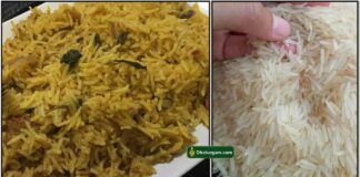 kushka plain briyani
