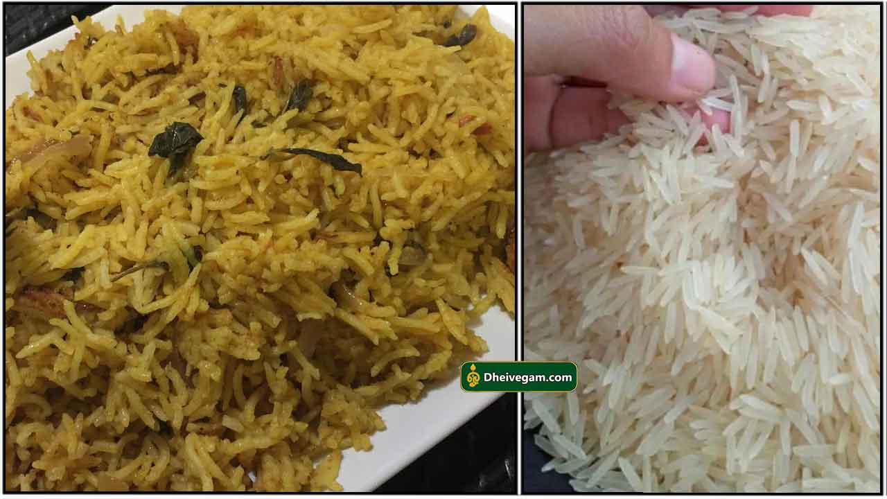 kushka plain briyani
