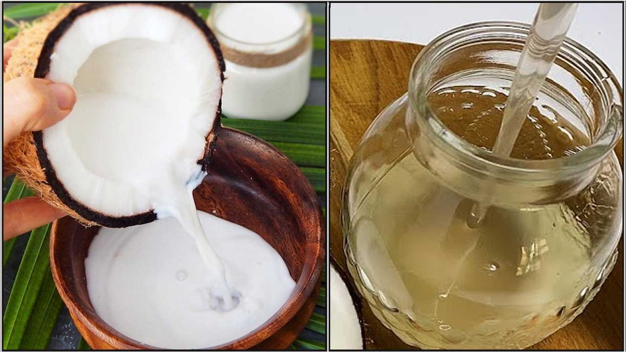 பத்தே நிமிஷத்தில் தேங்காய் பாலில் இருந்து எண்ணெய் எடுக்க சூப்பர் டிரிக்ஸ் இருக்கு. அது எப்படின்னு தெரிஞ்சுக்கணுமா? இதோ அதற்கான டிப்ஸ்.