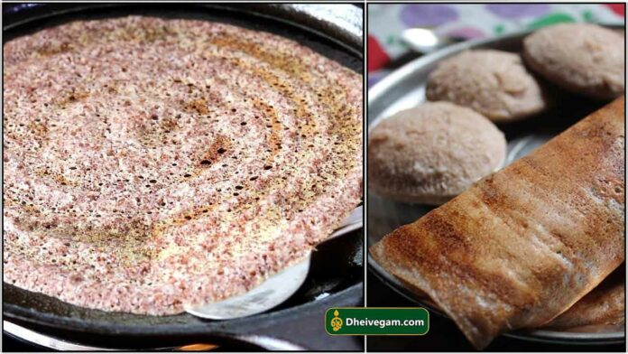 dosai